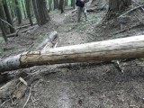 Jordan Creek Trail