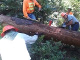 77 - Jim's logout crew.jpg