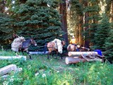 99 c - trail crew camp.jpg