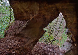 Ladder Arch