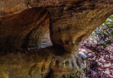 Glow Worm Arch