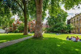 College Garden