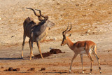 Kudu & Impala