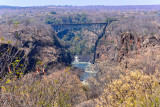 View from Vic Falls Hotel