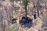 View of Vic Falls from Above - Elephants