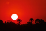 Zambezi Sunset