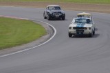Ford Mustang Shelby GT 350 1965.jpg