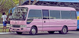 Montego Bay Pink Cadillac