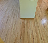 Floor1.jpg