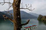 Phewa Lake