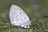 _LCC5345x.jpg