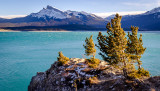 Windy Point in David Thompson Country