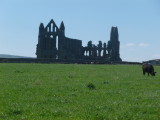 Whitby Abbey in sihouette