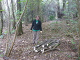 Nicky and her logs