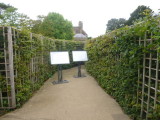 Centre of Hampton Court Maze