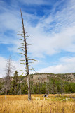 Yellowstone National Park and Grand Teton National Park, USA, September 2017.