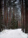 EST-04-01-17-012.jpg