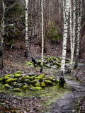 Stone healers.