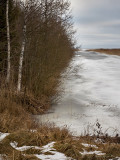 Winter... almost...