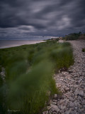 Ilmen lake