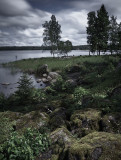 RUS-03-07-18-349.jpg