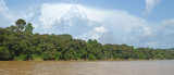 Sungai Kinabatangan landscape