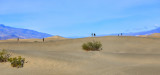 Mesquite Flat Sand Dumes
