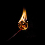 burning dandelion