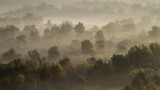 autumn painting