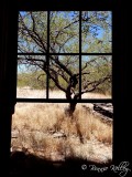 Ruby, AZ