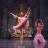 The Show