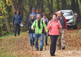Wandern von Lanzenkirchen nach Wiesen, 26. Oktober 2017