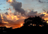 Sunrise at Clear Creek
