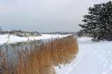 700_4750F.jpg