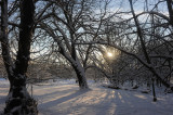 700_4777F.jpg