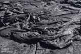 Pahoehoe lava wrinkles