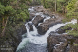  Wailuku River...Hilo 