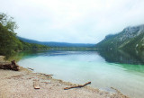 DSCF3651 net.jpg