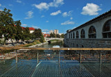 DSCF3802 net.jpg