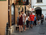 DSCF3931 net.jpg