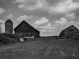 Farm on Milwaukee Street - Madison WI