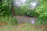 Etobicoke Creek
