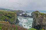 Bodega Bay