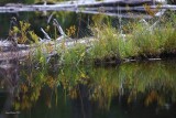 9-23-2017 Reflection - Hidden Lake