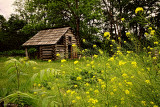 ANOTHER OLD BARN