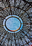LOOKING UP