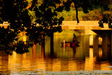 FISHING UNDER THE BRIDGE