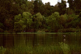 EVENING AT THE LAKE