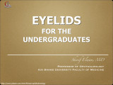 Undergraduate Eyelids.001.jpeg