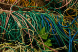 14 april NIK_0538a.jpg